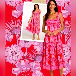 Elizabeth James Alice And Plum Flowers Dress Size M